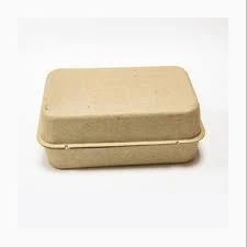 Molded Fiber Pulp Clamshell Sustainable